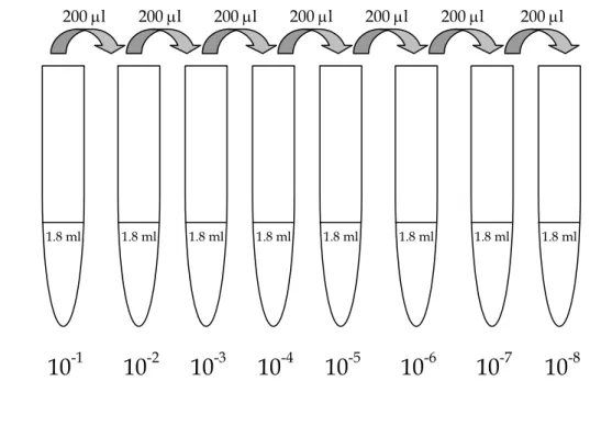 Obrázek 4. Ředění mikrobiální kultury. V každém kroku je kultura zředěna 10x. 