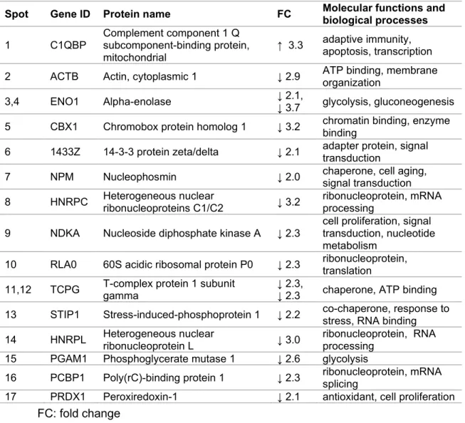 Tab. 1. List of differently expressed proteins of DC vs UC identified by MALDI­TOF  MS/MS analysis of CBB­stained gel spots and associated biological processes. 