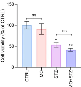Fig. 17. Effects of streptozotocin and FTO inhibitor MO­I­500 on SH­SY5Y viability. 