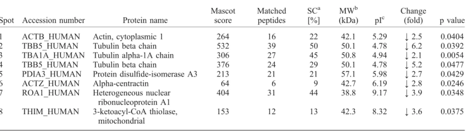 Table 3. List of differentially expressed proteins by rhein in undifferentiated SH-SY5Y cells identiﬁed by MALDI-TOF MS/MS analysis of CBB-stained gel spots *