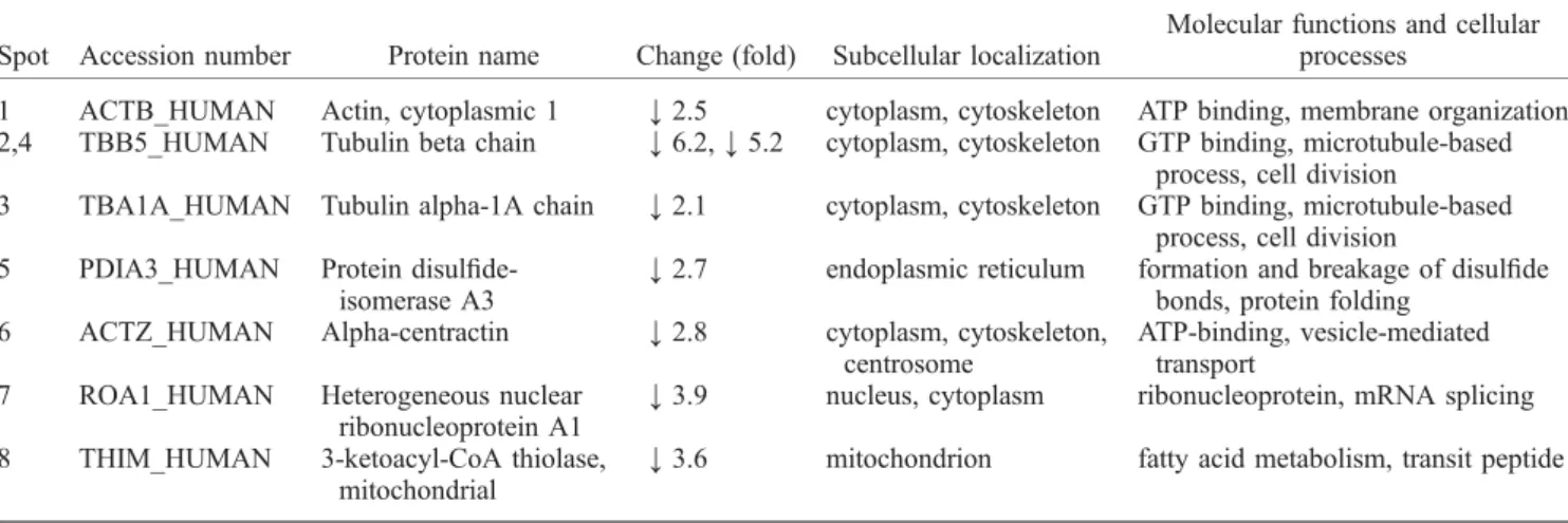 Table 4. Subcellular localization and biological functions of proteins altered by rhein in undifferentiated SH-SY5Y cells