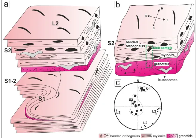 Fig.  35  Simplified  sketch  of  the  main  domains,  lithology  distribution  and  deformation fabrics found and described at the locality of Hohenstein