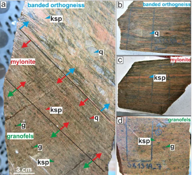 Fig. 37 a) Cutted slab (from the Fig. Hmakro outcrop) used for the samples; The sample  of the slab used for a) banded orthogneiss with visible augens of quartz; b) mylonite, where  the range bands of K-feldspar are shown; c) granofels with macroscopically