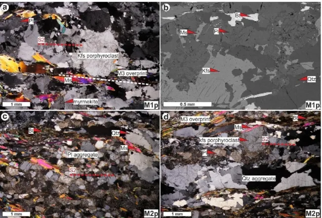 Fig.  15  Cross-polarized  micrographs  and  back-scattered  electron  images  of  distinct  microstructural types associated with S2 fabric and D3 overprint in parautochthonous unit