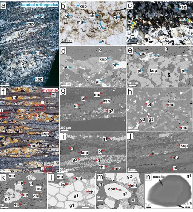Fig.  25  Micrographs  and  back-scattered  electron  images  related  to  a-e)  banded  orthogneiss and f-k) mylonite; a) whole thin section scan showing compositional bands of  main mineral phases and textural appearance of the banded orthogneiss microst