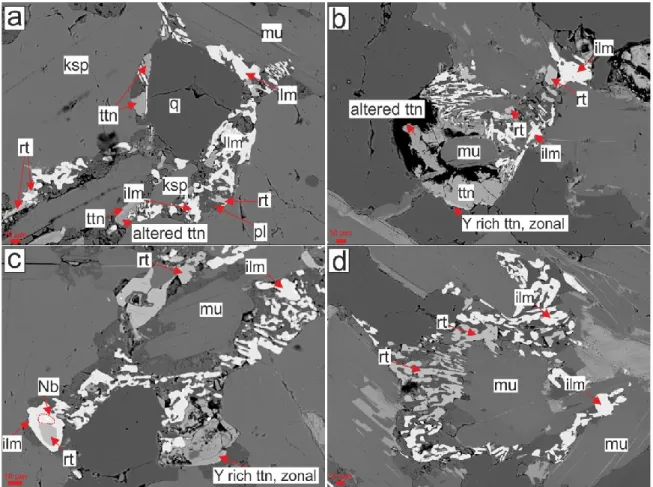 Fig. 26 BSE images showing the distribution of ilm, rt and ttn in the banded orthogneiss; 