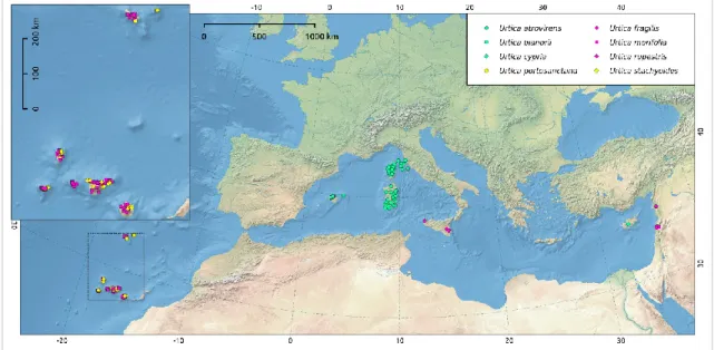 Figure 4.  Spatial  distribution  of  endemic  species  of  the genus  Urtica  L.  in  Mediterranean  hotspot along with their phylogenetic linkage