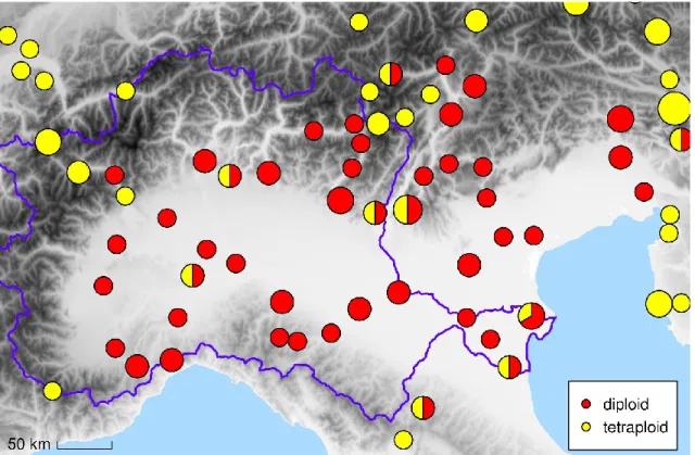 Figure 19.  Map  of  locations  of  Urtica dioica   samples  collected  in  the Po  Plain  (CS  II)