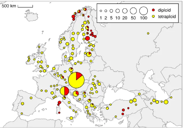 Fig 1. Distribution of two dominant cytotypes of  Urtica dioica  in Europe and West Asia