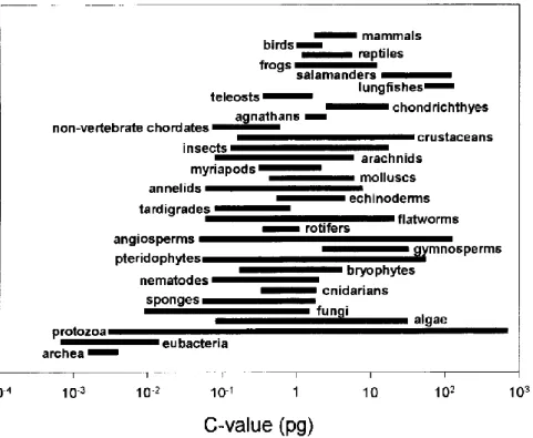 Fig.  1.  The  ranges  in  haploid  genome  sizes  (C-values  in  picograms)  in  different  groups  of  organisms (from Gregory 2004)