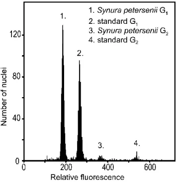 Figure 1. Flow cytometric histogram showing relative fluorescence of propidium iodide-stained  nuclei of chrysophyte Synura petersenii and Solanum pseudocapsicum (reference standard) with G 1 and G 2  phase nuclei apparent for both analysed sample and stan
