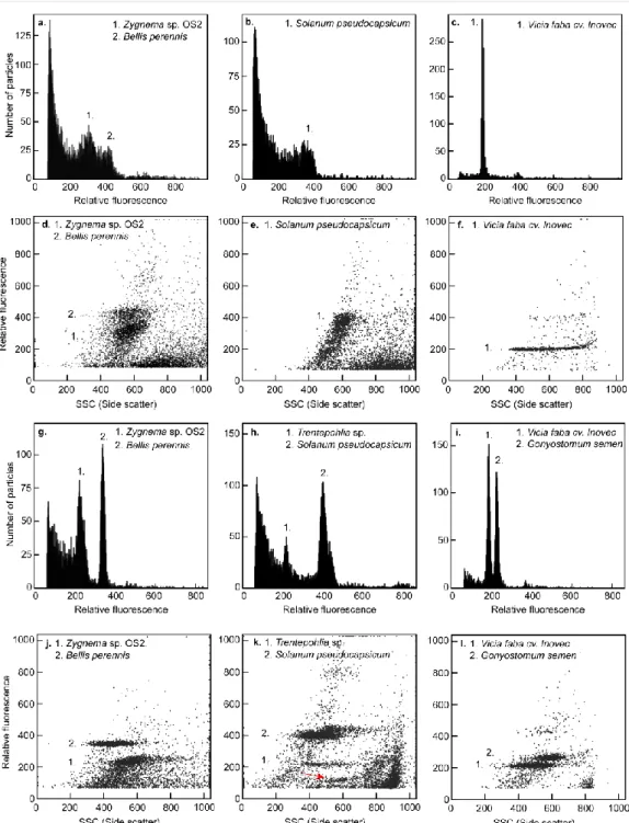 Figure 1. Flow cytometric fluorescence histograms (a-c, g-i) and fluorescence vs. side-scatter  plots  (d-f,  j-l)  summarizing  the  results  of  poor-quality  (a-f)  and  suitable  (g-l)  nuclei  isolation  protocols  of  Zygnema  sp
