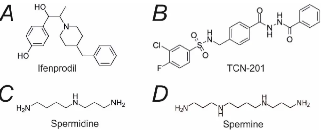 Figure  1.5.  Allosteric  modulators  of  NMDAR.  Projection  structure  of  (A)  ifenprodil,  (B)  TCN-201, (C) spermidine, and (D) spermine