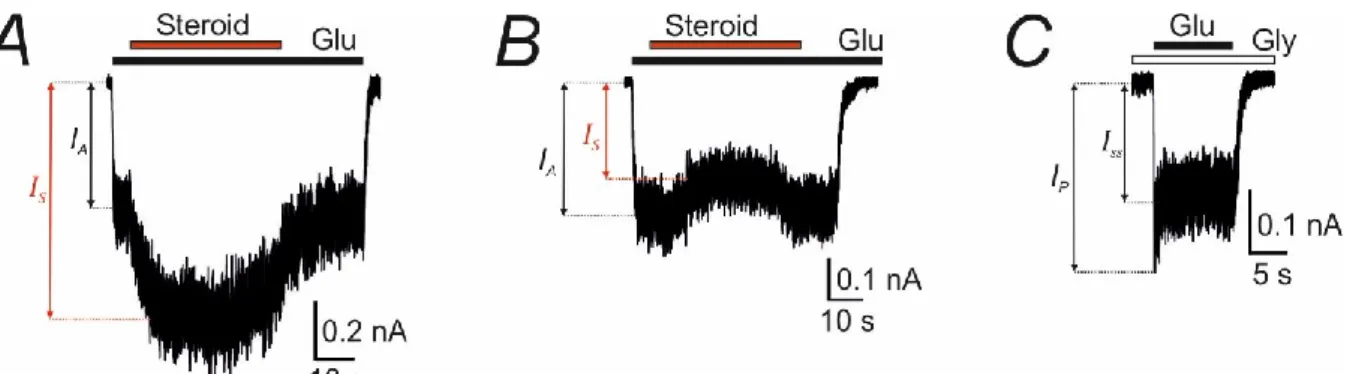 Figure  3.1.  (A-B)  Representative  recordings  demonstrate  the  effect  of  potentiating  (A)  and  inhibitory  (B)  steroids  on  GluN1/GluN2B  receptor  responses  to  1 μM  glutamate  in  the  presence  of  30 μM  glycine