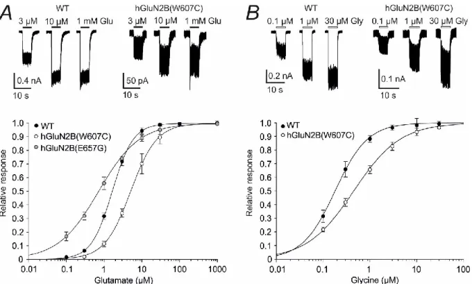 Table 4.2. Summary of the agonist affinity data for the WT and mutated receptors.  