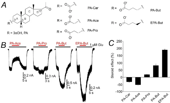 Figure  4.12  Structure-function  principles  underlying  potentiating  effect  of  pregnane-based  steroids