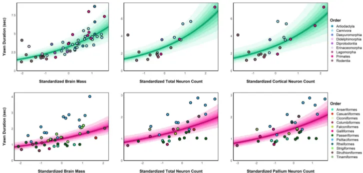 Fig. 4 Predicted associations between residual brain measures (controlling for body size) and yawn duration across taxa
