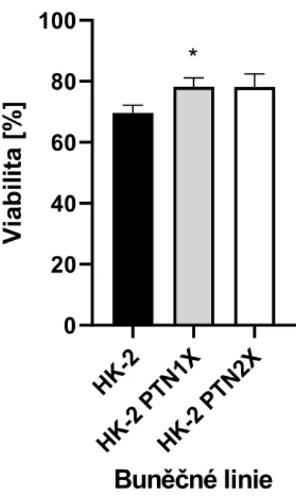 Obrázek  16:  Viabilita  buněk  HK-2  vztažená  na  konkrétní  buněčnou  linii  v  médiu  48 h  po  přidání  gentamicinu k testovanému souboru buněk