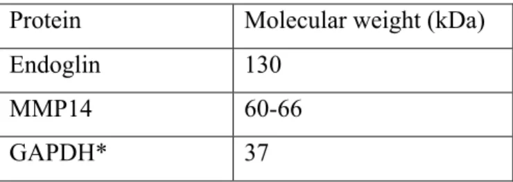 Table 5: Molecular weights of the proteins   Protein  Molecular weight (kDa) 