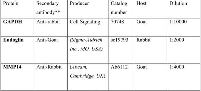 Table 7: Secondary antibodies and dilution  Protein  Secondary 