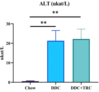 Figure 6 Impact of the DDC diet on ALT activity in plasma The data are presented as mean ±  S.E.M