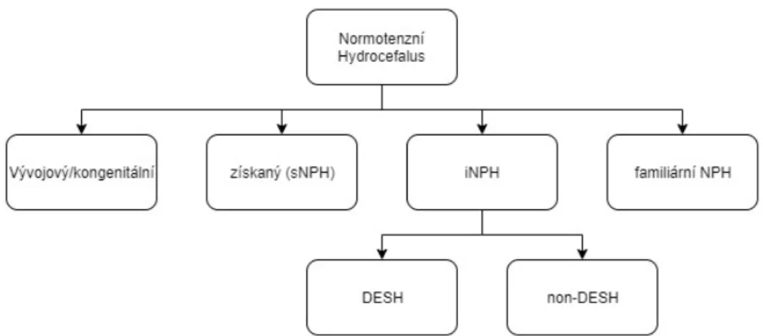 Obrázek 1.1: Dělení NPH