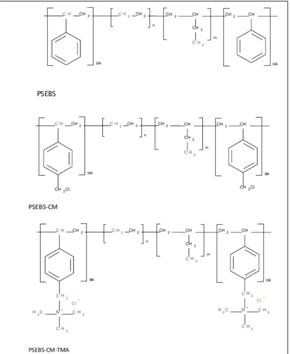 Figure 8 Structural formula of PSEBS, PSEBS-CM and quaternized PSEBS-CM-TMA  3.2.1.3  PSEBS, PSEBS-CM and PSEBS-CM-TMA solubilities 