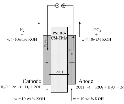 Figure 24 The scheme of the alkaline water electrolysis in zero-gap arrangement for a case of  10 wt.% KOH 