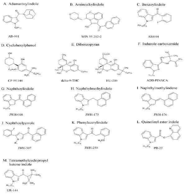Obrázek 2 Rozdělení syntetických kanabinoidů dle přehledného článku Castaneto et. al 2014 
