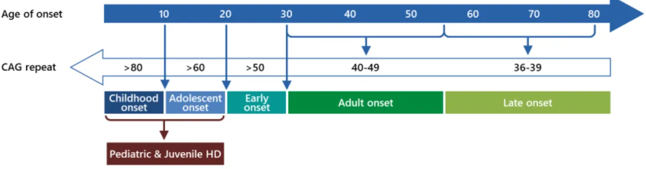 Figure 4: The relationship between CAG length and age of onset  