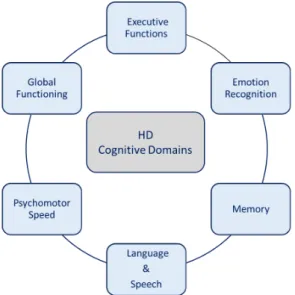 Figure 12: Cognitive domains 