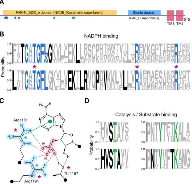 Figure 2: Sequence features in FARs.