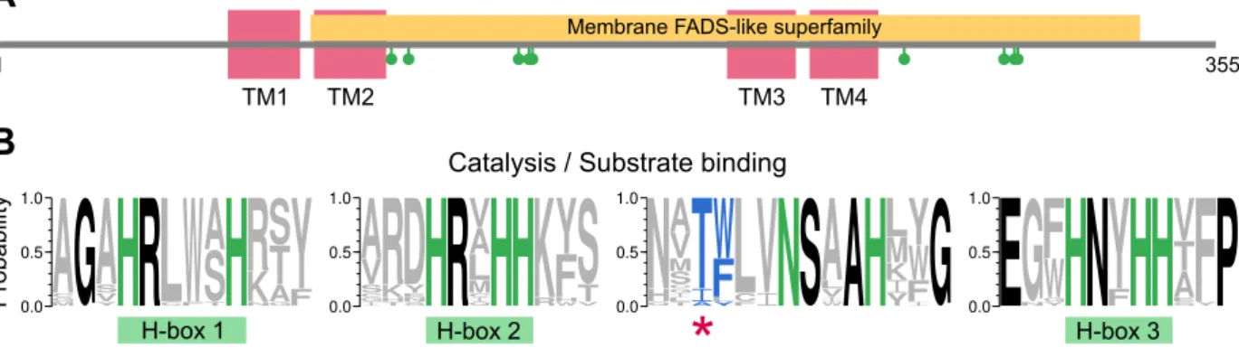 Figure 7: Sequence features in mFADs.