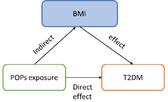 Figure 8. DAG illustrating the direct and indirect effects of exposure on outcome. 
