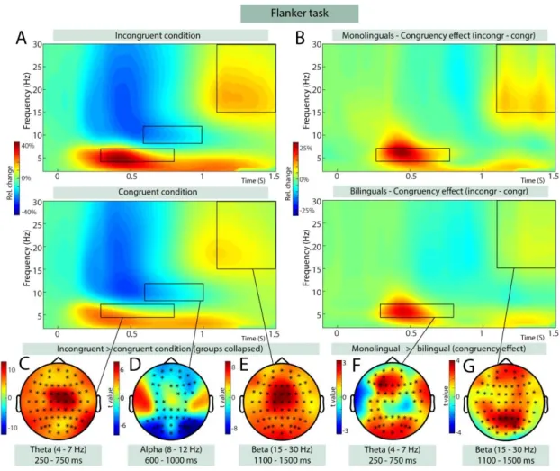 Figure 2:  In the Flanker task, monolinguals had a significantly larger theta increase induced  by incongruent trials than bilinguals