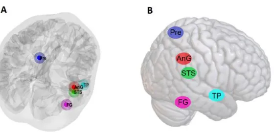 Figure 2. A) Locations of the five nodes included in the csd-DCM on a canonical brain mesh