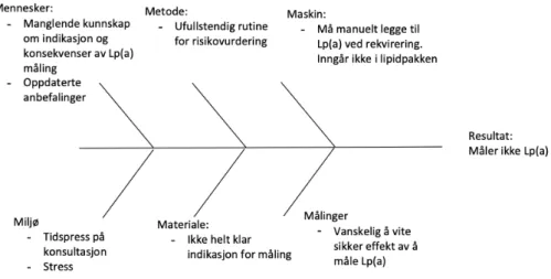 Figur 4. Fiskebeinsdiagram 