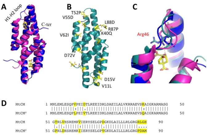 Figure  28.  Structural  comparison  of  wild-type,  naturally  sluggish  MtCM  and  naturally  and  experimentally  activated  MtCMs