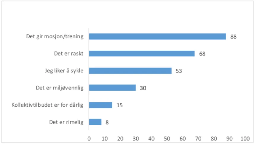 Figur S.6 Grunner til å sykle til arbeid. Inntil tre årsaker kunne nevnes. N=40 