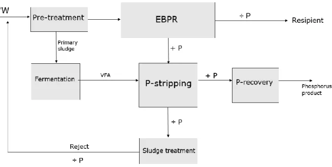 Figure 1: Simplified flow chart of wastewater treatment with implementation of P-stripping unit 