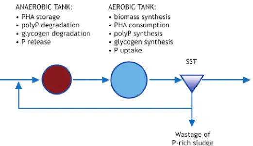 Figure 2: Overview over the EBPR process (Metcalf and Eddy, 2003; Wentzel, et al., 2008) 