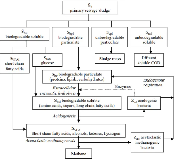 Figure 8: Schematic diagram of processes involved in fermentation of sludge (Ristow, et al., 2006)