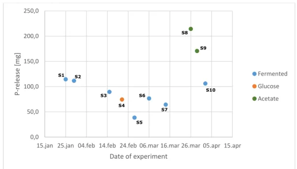 Figure 28: P-release in terms of mass in all P-stripping experiments with SBR sludge 