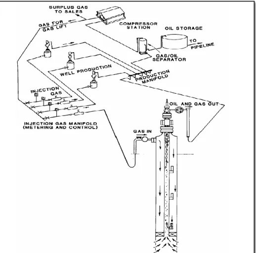 Figur 2-1: Gassløftet produksjonssystem,(Hu, 2005) 