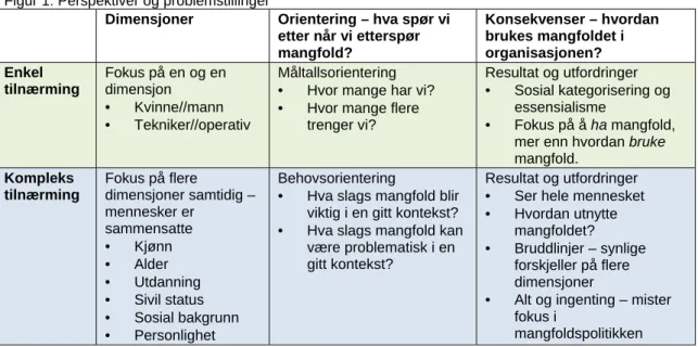 Figur 1: Perspektiver og problemstillinger 
