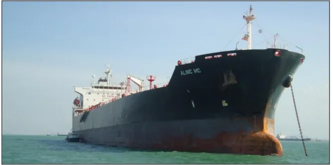 Figure 8. Alnic MC after the accident. (Photo by US Coast Guard) 