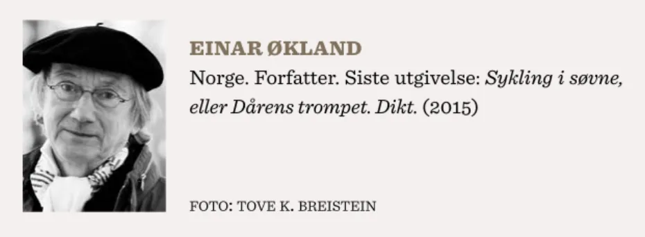 foto :  tove k .  breistein