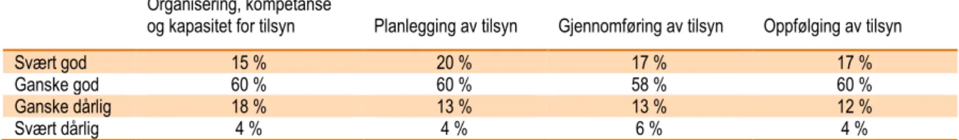 Tabell 19 Kommunenes egenvurderinger av tilsynspraksis. Andel kommuner (n=293).