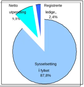 Figur 11.1 Arbeidsstyrken i Hedmark. 1999. Fordeling i prosent