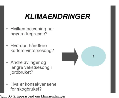 Figur 33 Gruppearbeid om klimaendringer 